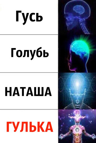 Голубь Наташа
