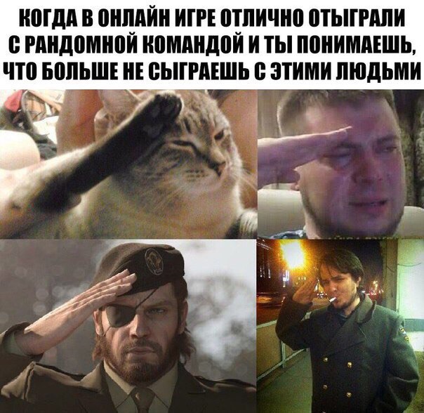 все отдают честь