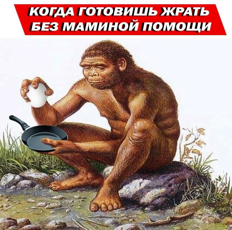 мемы с пещерными людьми мемы с пещерными людьми