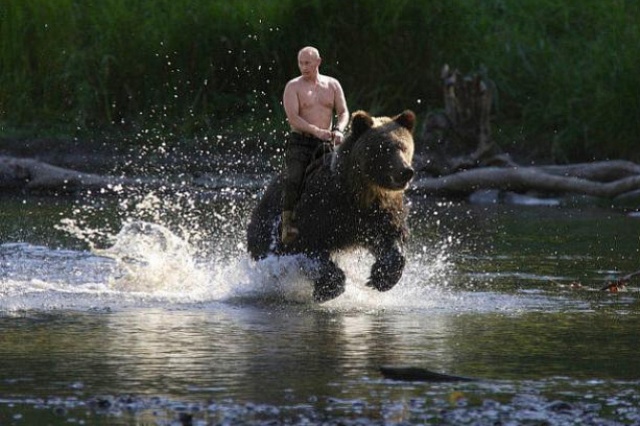 фотожабы с путиным на медведе