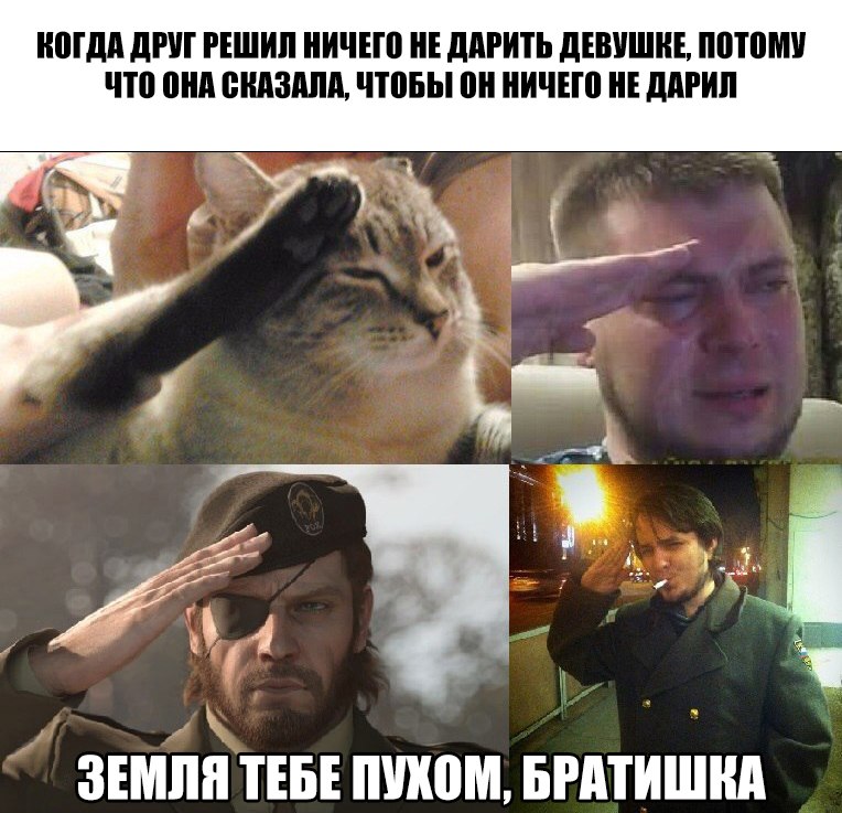все отдают честь