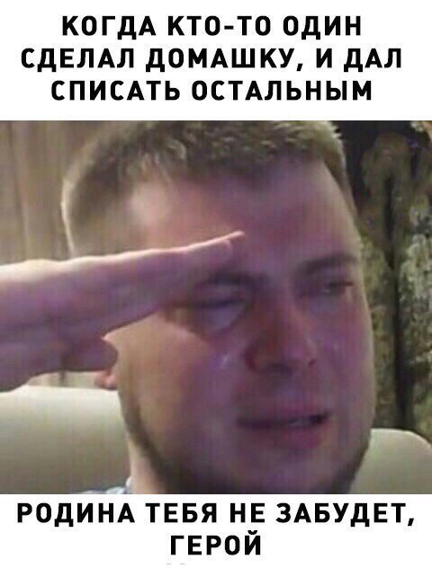 все отдают честь