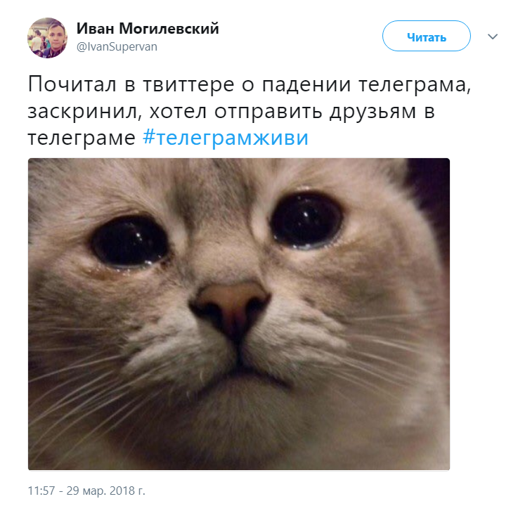 сбой Telegram сбой Telegram
