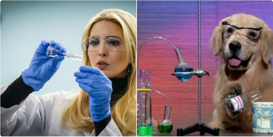 иванка трамп ученый иванка трамп ученый