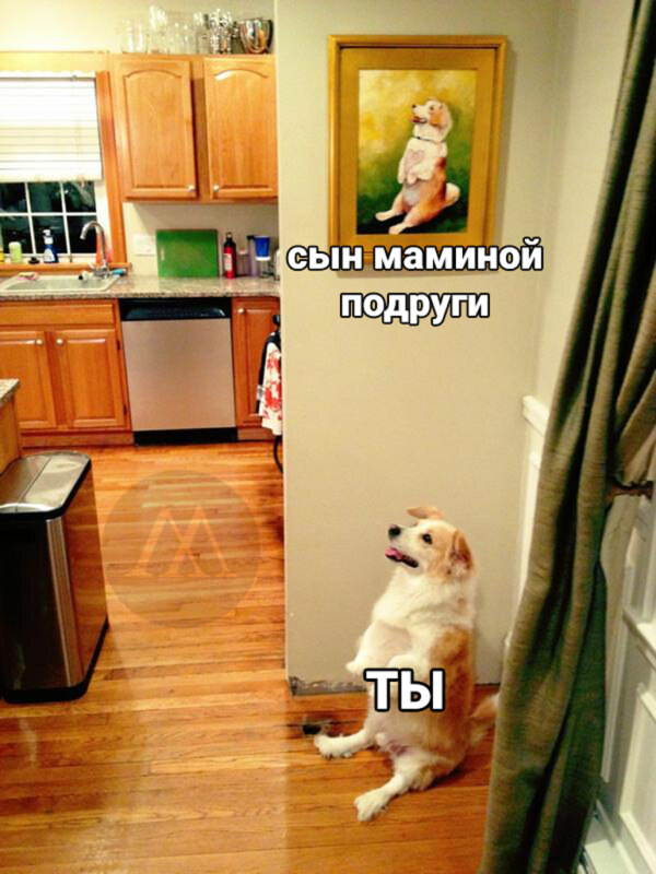 собака сидит как на картине