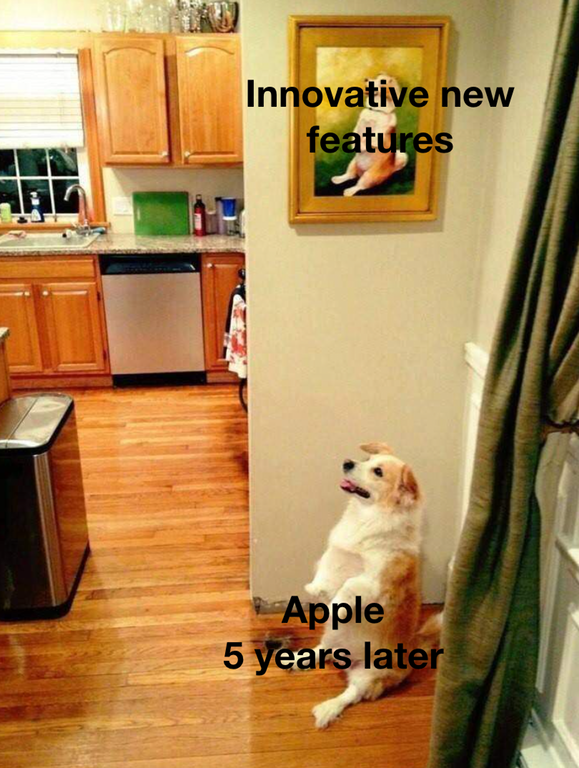 собака сидит как на картине