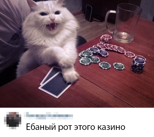 Ебаный рот этого казино