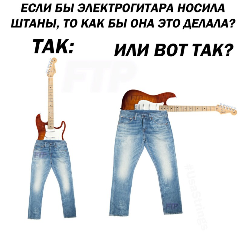 если бы собака носила штаны