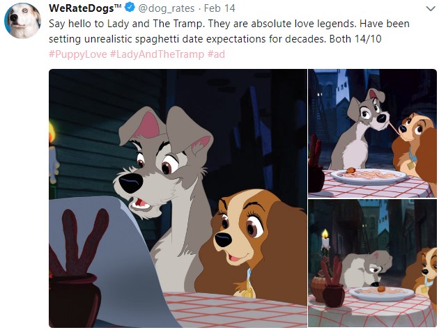 weratedogs, твиттер о собаках