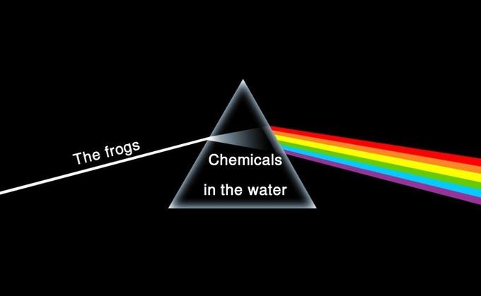The Dark Side of the Moon пародии