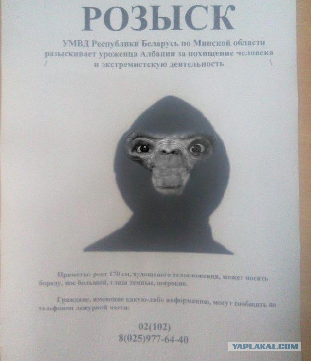 албанец фоторобот