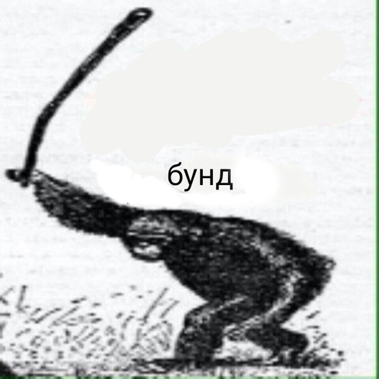мемы обезьяна бунд мемы обезьяна бунд