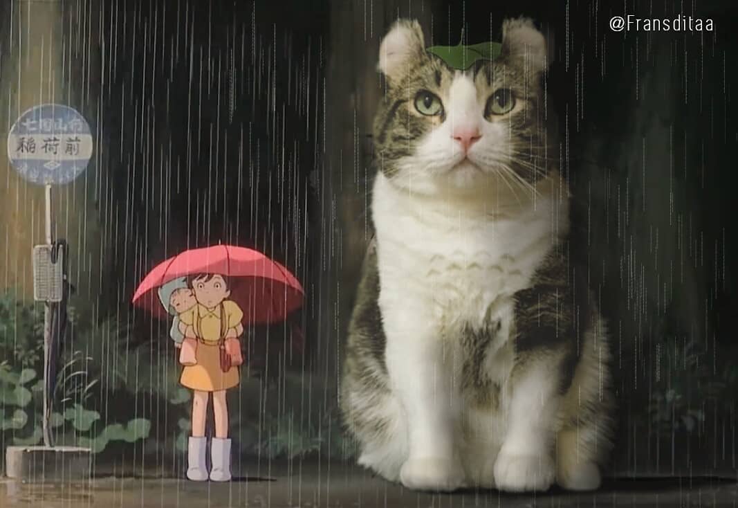 Коты-гиганты Коты-гиганты