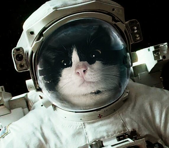 Коты-гиганты Коты-гиганты