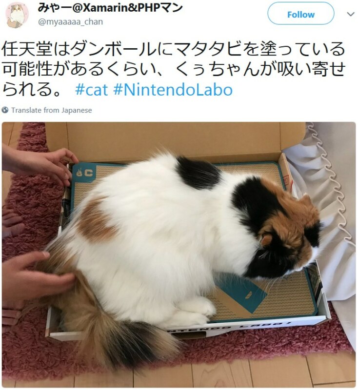 Коты и Nintendo Labo