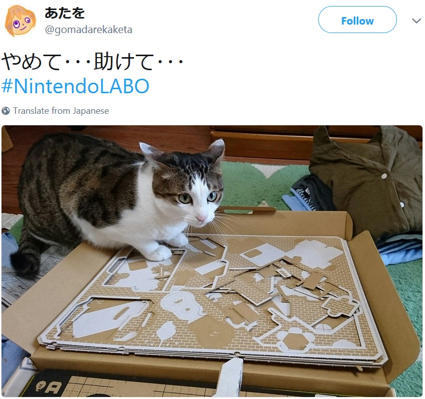 Коты и Nintendo Labo