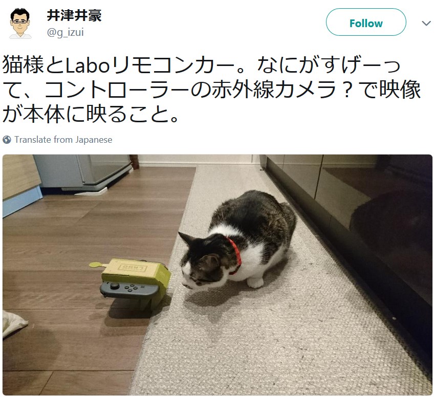 Коты и Nintendo Labo