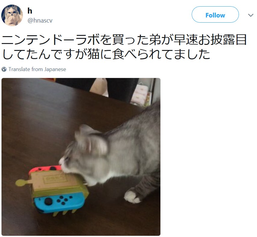 Коты и Nintendo Labo