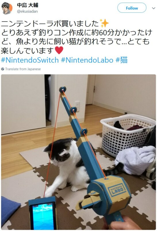 Коты и Nintendo Labo