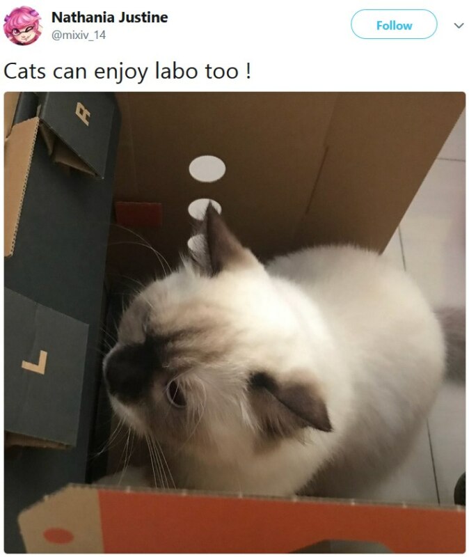 Коты и Nintendo Labo