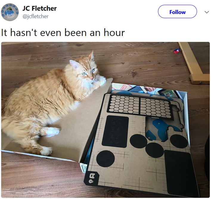 Коты и Nintendo Labo
