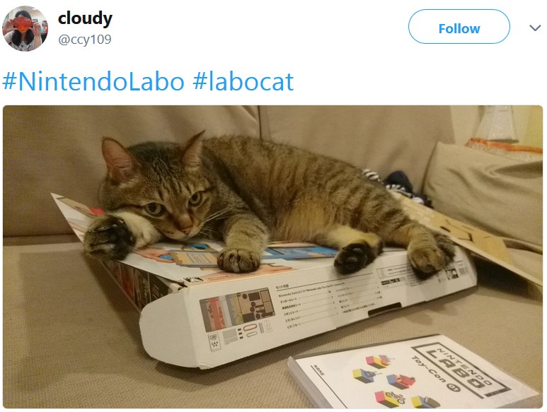 Коты и Nintendo Labo