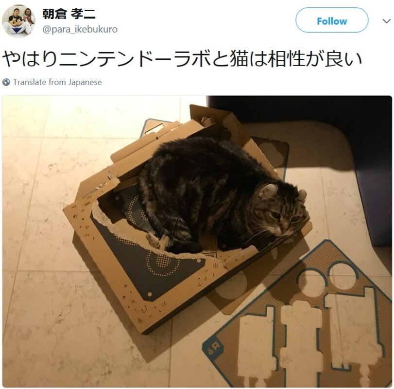 Коты и Nintendo Labo