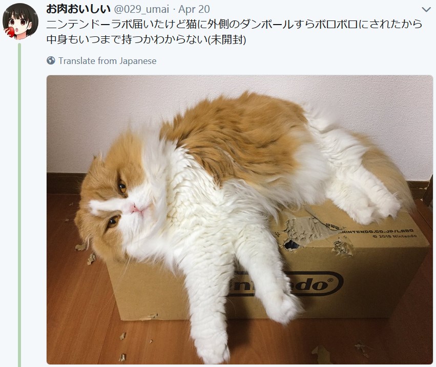 Коты и Nintendo Labo