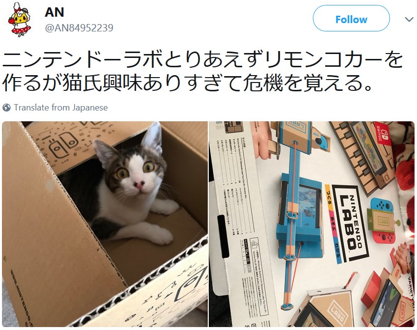 Коты и Nintendo Labo