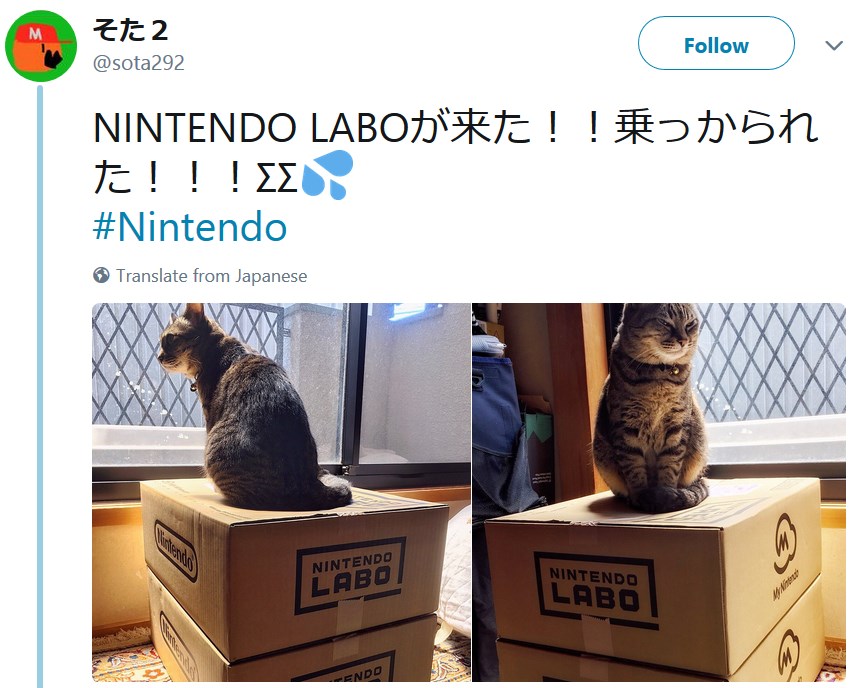 Коты и Nintendo Labo