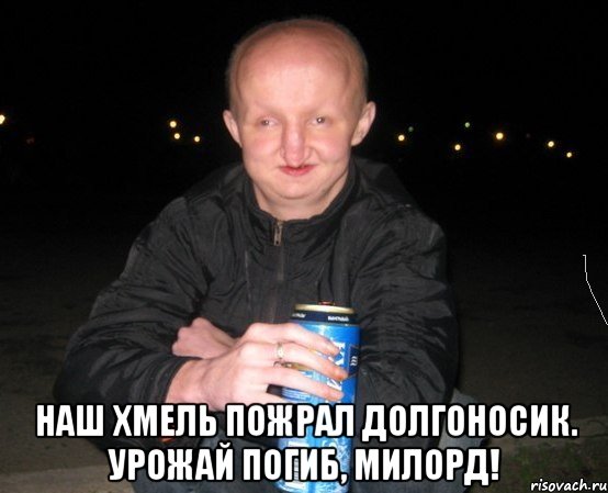 долгоносик