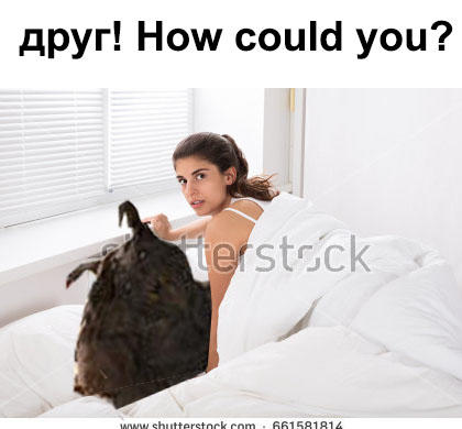 ДРУГ мем