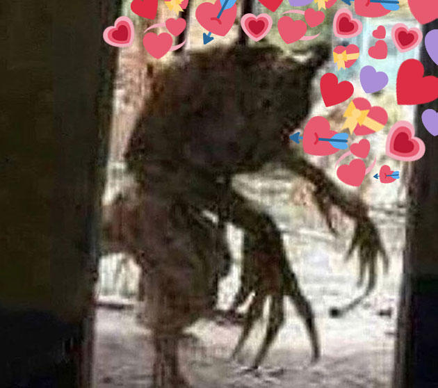 ДРУГ мем