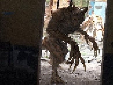 ДРУГ мем