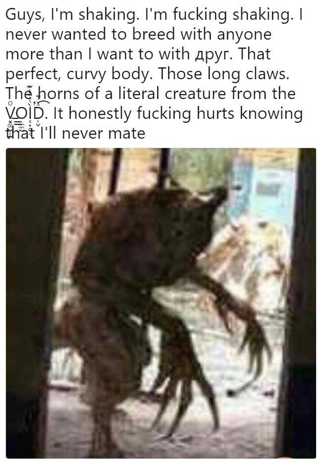 ДРУГ мем