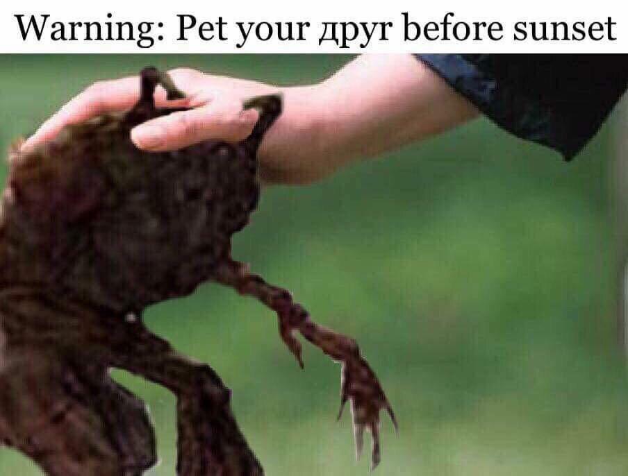 ДРУГ мем