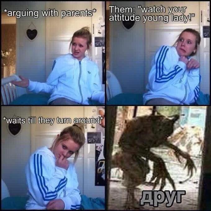 ДРУГ мем