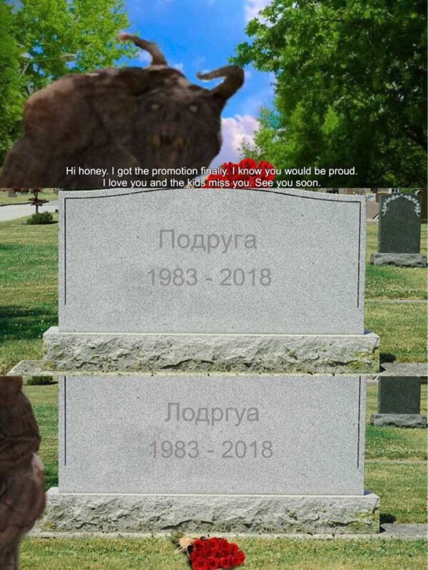 ДРУГ мем
