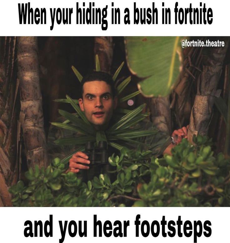 Fortnite, мем
