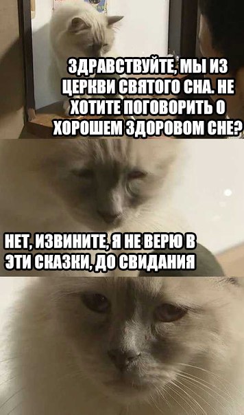 интервью с грустным котом интервью с грустным котом