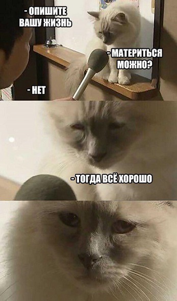Интервью с грустным котом мем Интервью с грустным котом мем