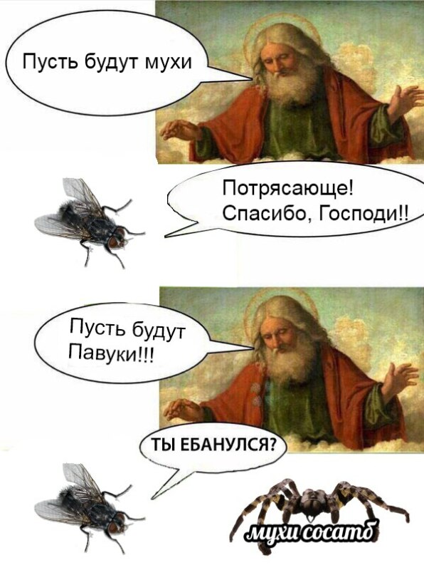 сосатб сосатб