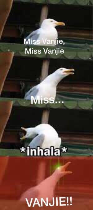 Мем мисс Вэнджи