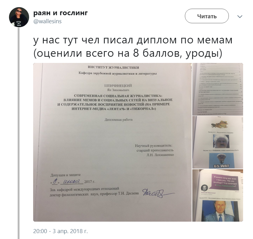 диплом про мемы