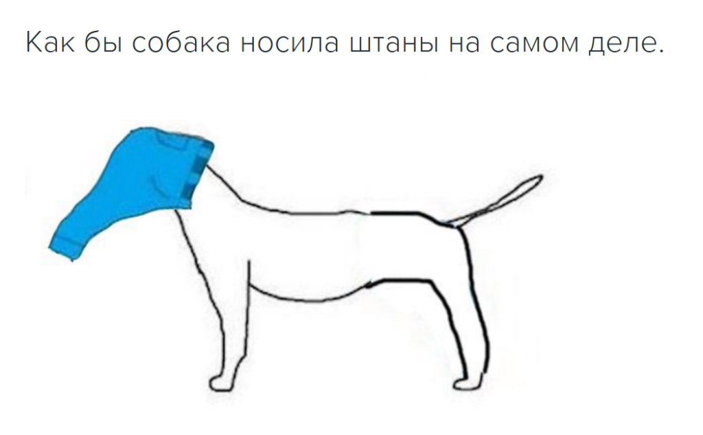Если бы собаки носили штаны