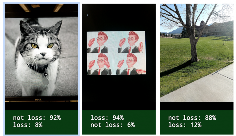 Is This Loss
