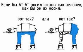 Если бы собаки носили штаны