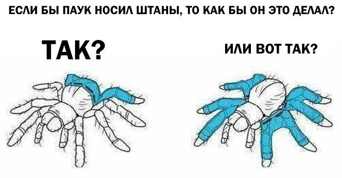 Если бы собаки носили штаны