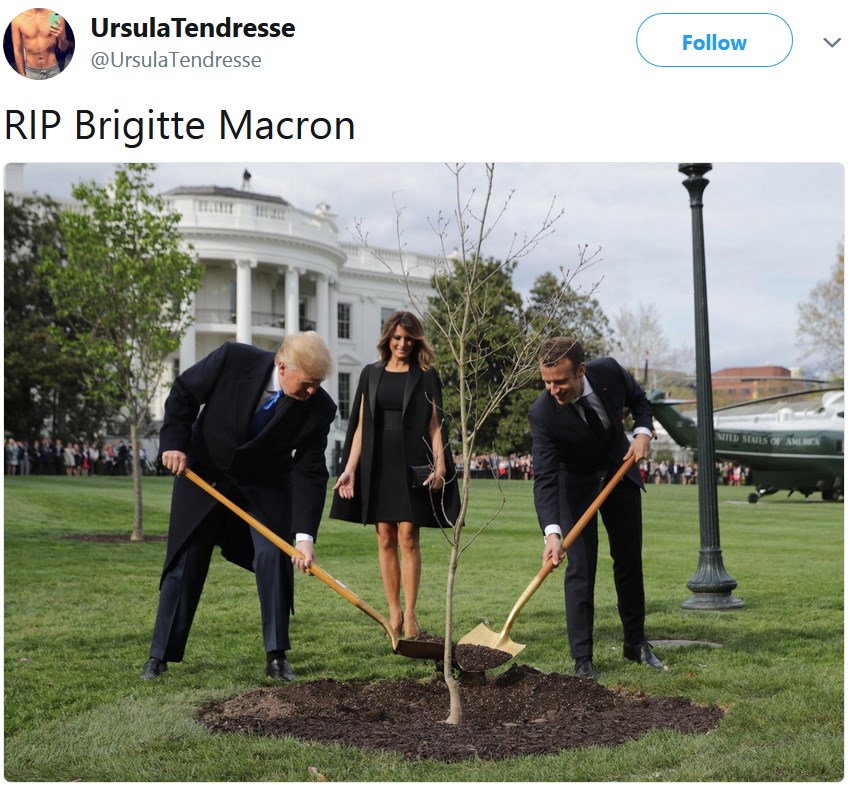 Трамп и Макрон сажают дерево
