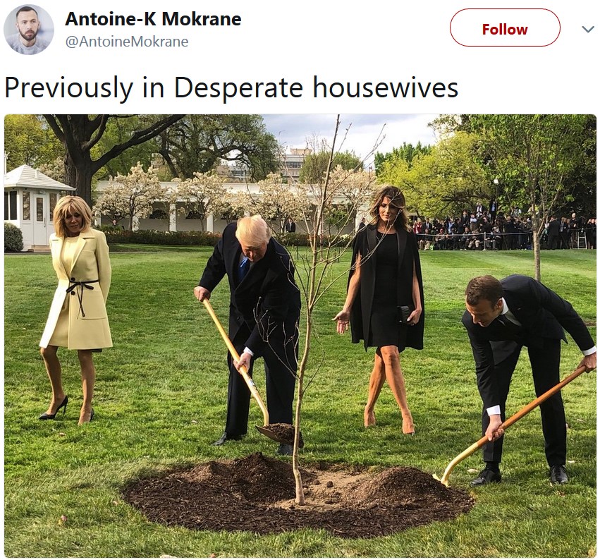 Трамп и Макрон сажают дерево